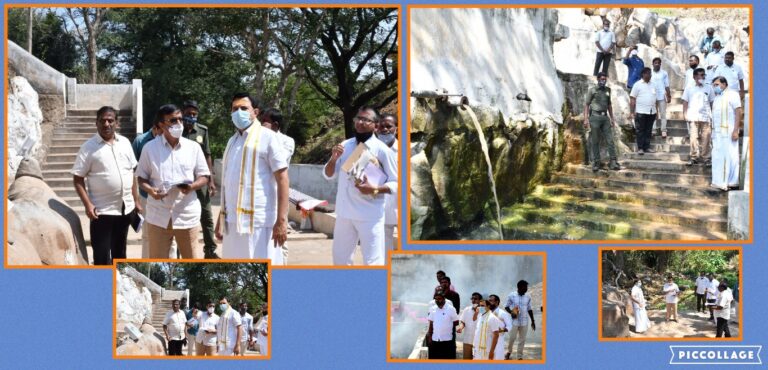 Collage 2021-02-14 19_12_34