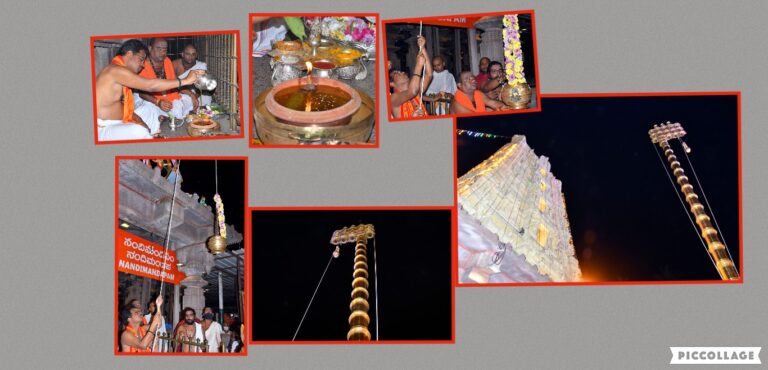 Collage 2021-11-05 20_12_26