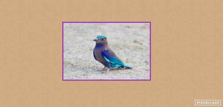 Collage 2022-10-05 04_15_17