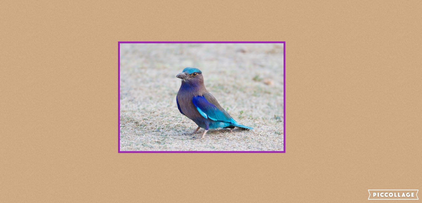Collage 2022-10-05 04_15_17