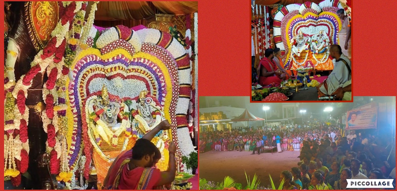 Collage 2024-02-08 00_13_51