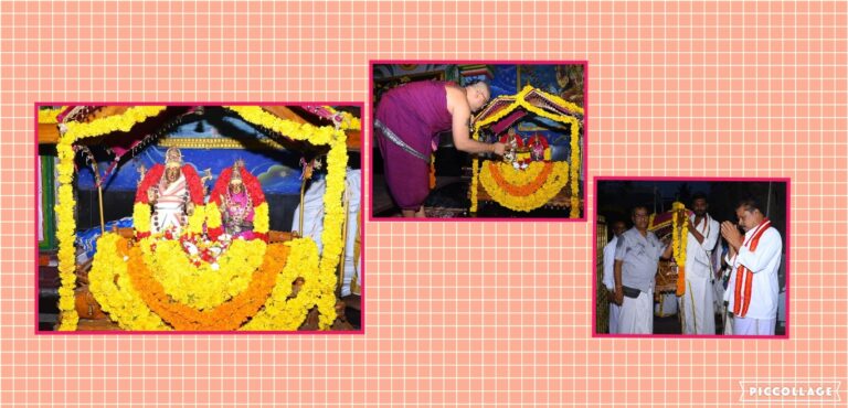 Collage 2024-05-12 23_37_16