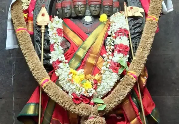 2a340aa2-8bd5-424f-8b2b-daa2fd65dd0c.jfif (1)