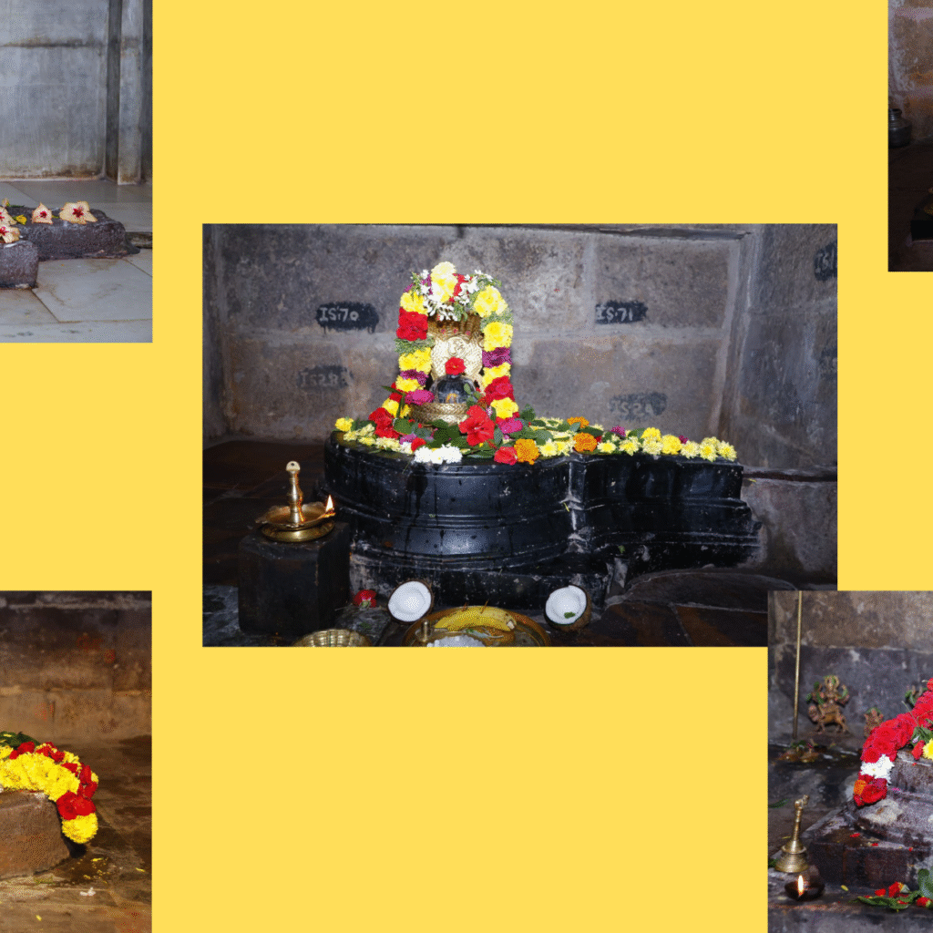 లోక కల్యాణార్థం పంచమఠాలలో విశేషంగా అభిషేకం, పుష్పార్చనలు