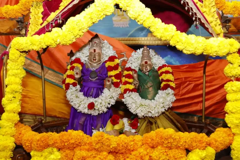 df04e062-db5c-48d4-8d2b-c43093a3a15b.jfif (1) (1)