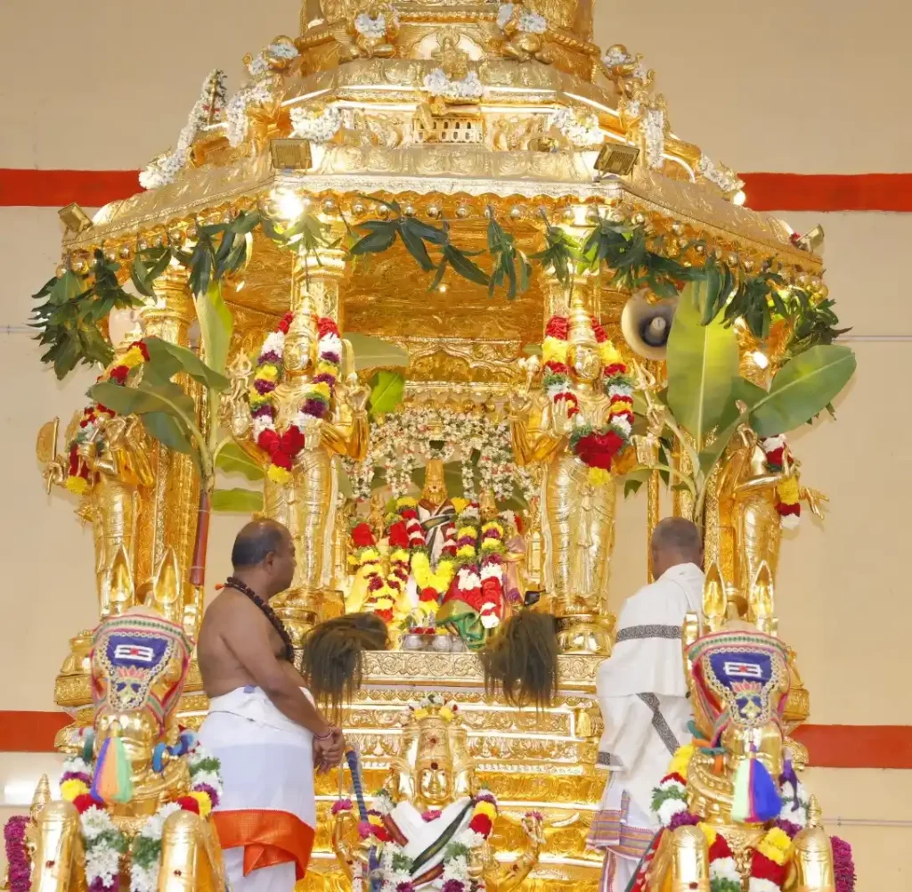 1947836b-4a04-45db-8d33-7f1a4ae16aed.jfif (1)