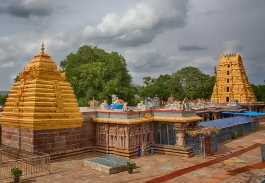 795ea473-4146-4736-82da-c9a0fa75cc2c.jfif (1)