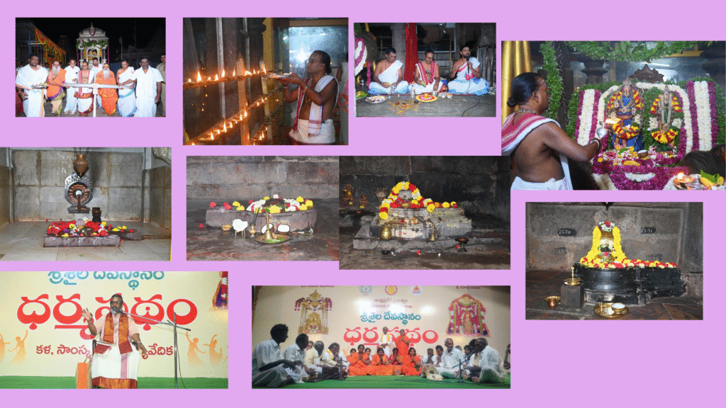 Untitled design - 2026-01-19T211235.090