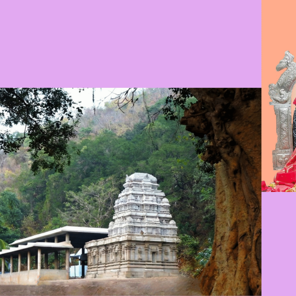 కొలను భారతీ క్షేత్రంలో వసంత పంచమి మహోత్సవానికి విస్తృత ఏర్పాట్లు