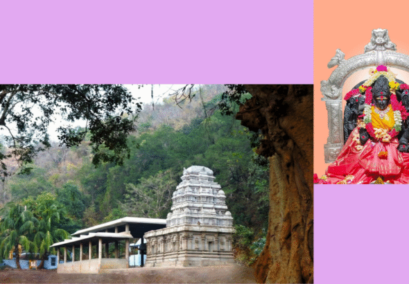 Untitled design - 2026-01-21T211534.609