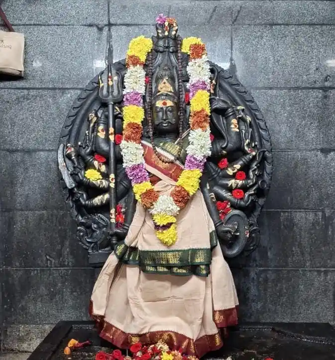 fab4b14b-08c6-48fd-b454-61e1b47f07a5.jfif (1)