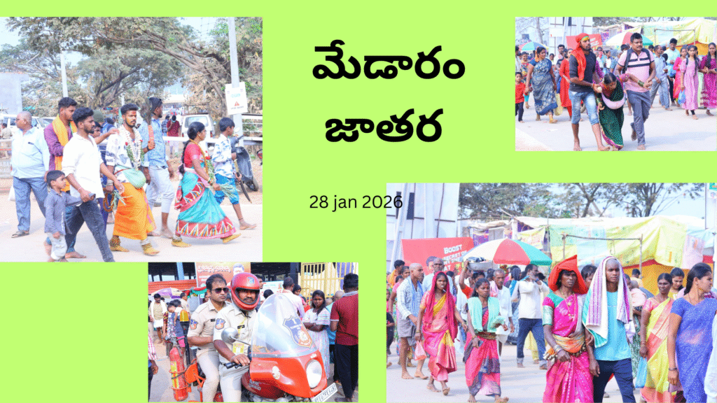 మేడారం జాతర