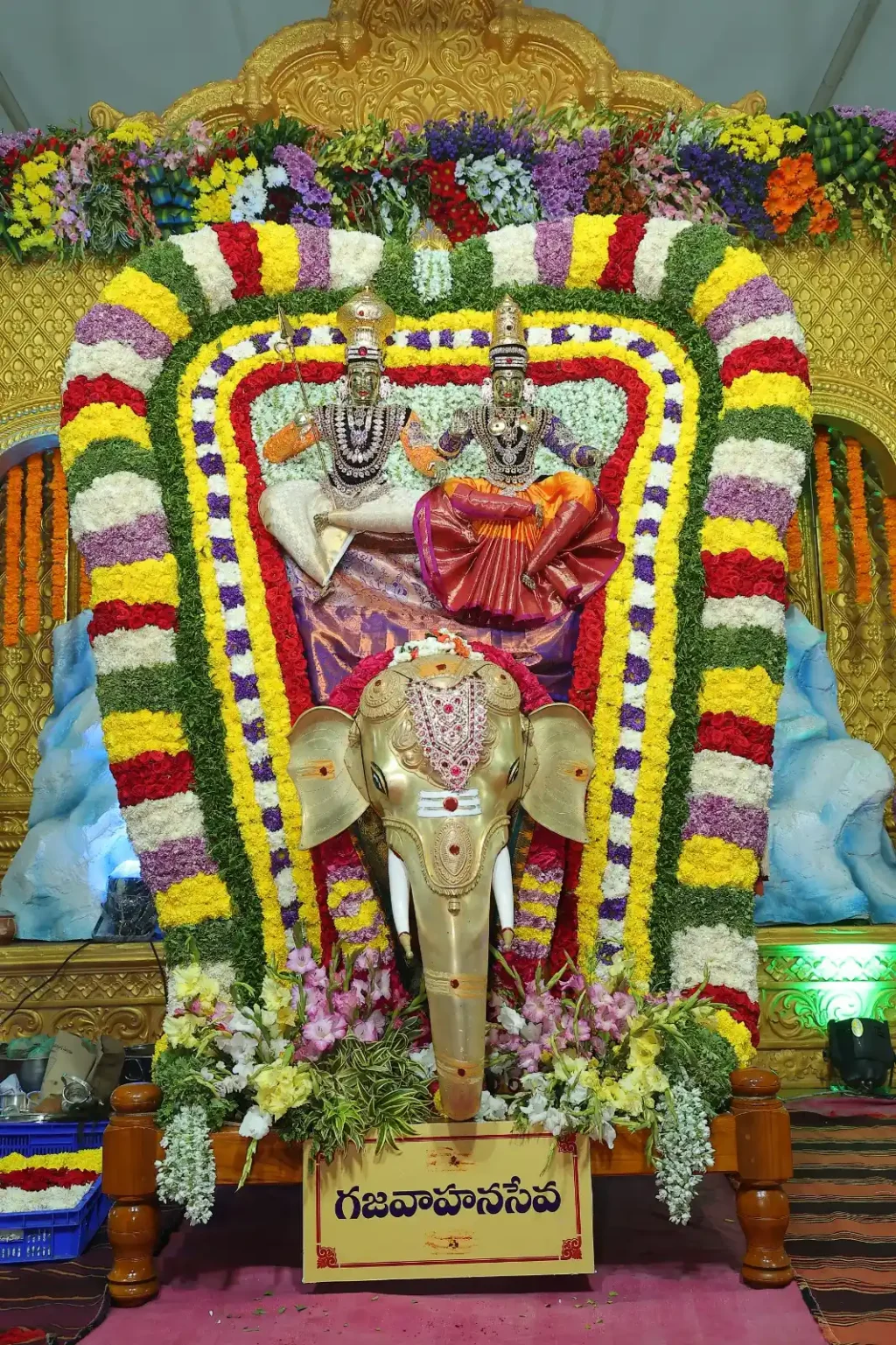 06cd535c-6a0c-486a-a305-ecb2f63590dd.jfif (1)