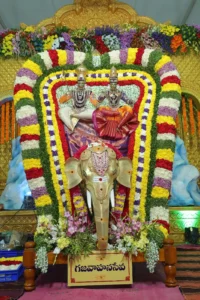 06cd535c-6a0c-486a-a305-ecb2f63590dd.jfif (1)