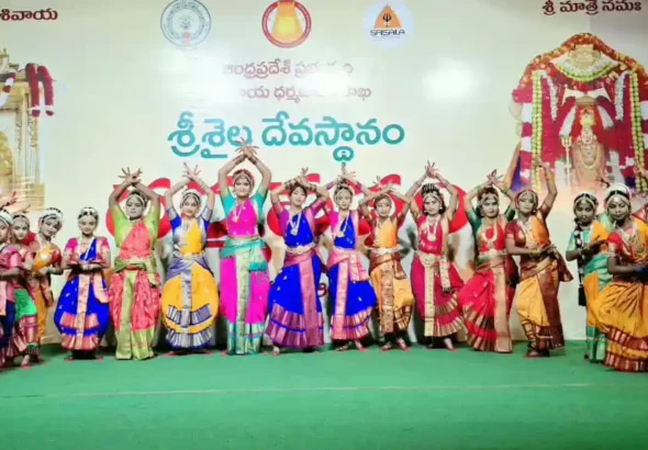 94f16407-5f5e-4d2d-adca-30356f483d2e.jfif (1)