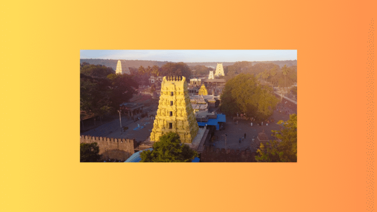 Untitled design - 2026-02-07T160021.850