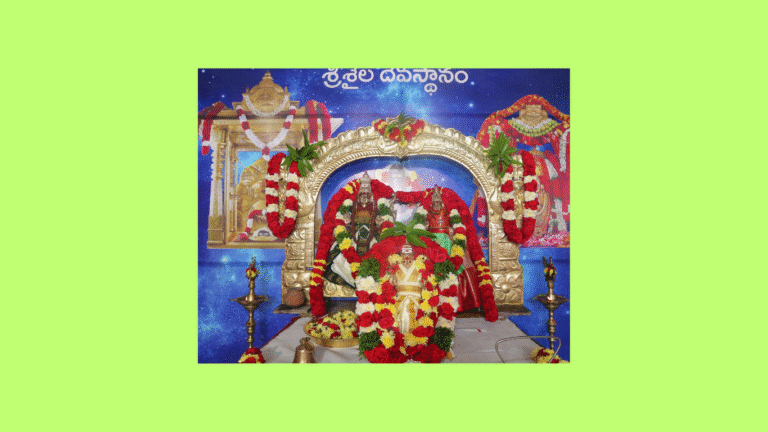 Untitled design - 2026-02-08T211719.112