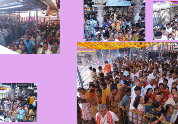 Untitled design - 2026-02-15T164254.336