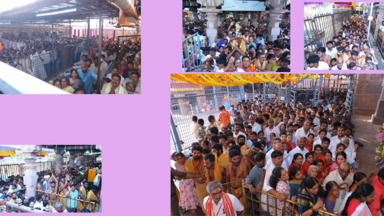 Untitled design - 2026-02-15T164254.336