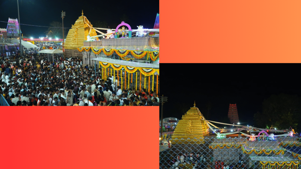 Untitled design - 2026-02-16T010707.664