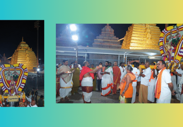 Untitled design - 2026-02-18T210242.336