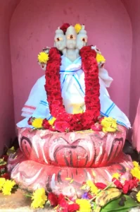 6560ed39-1f80-4ddf-95f6-5534f9f211b4.jfif (1)