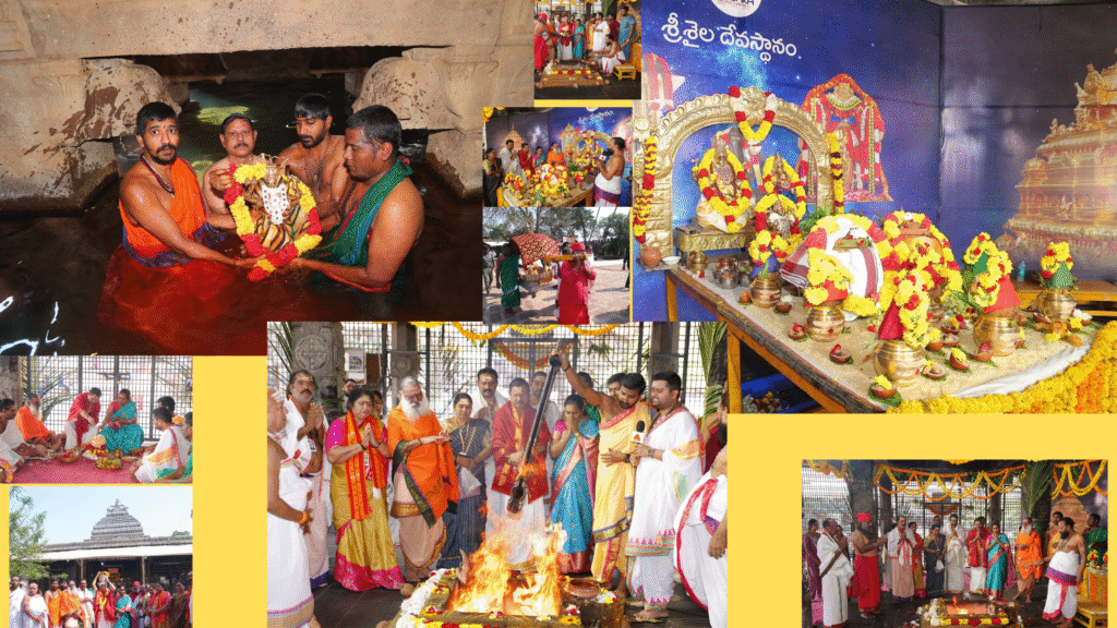 Untitled design - 2026-03-20T203552.222