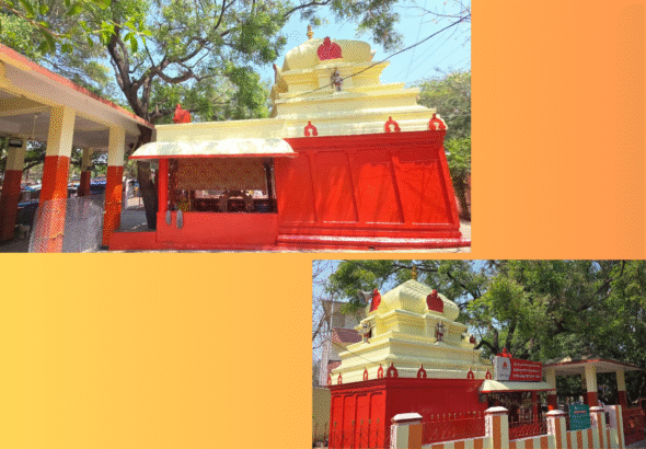 Untitled design - 2026-03-26T211427.400