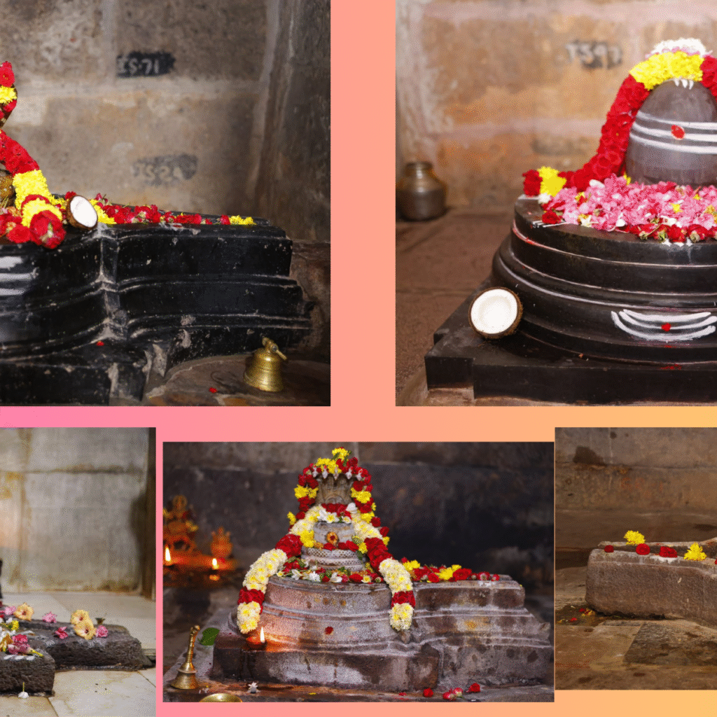 లోకకల్యాణార్థం పంచమఠాలలో పూజాదికాలు