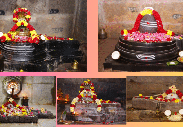 Untitled design - 2026-03-30T211517.669