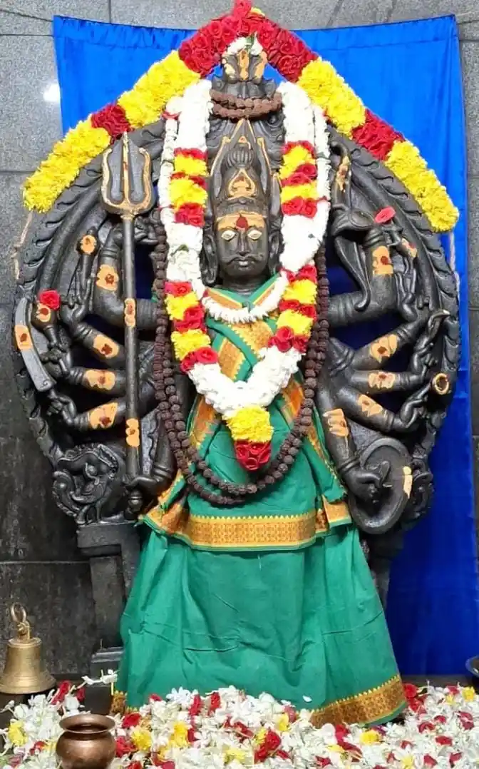 b7fe77ee-151b-43e4-917d-631eb852173a.jfif (1)