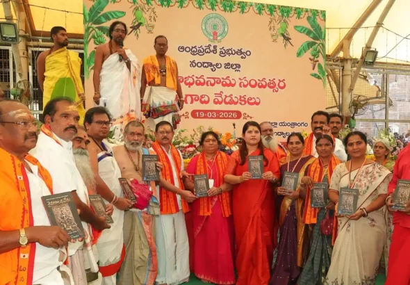 c869a729-5a13-4f31-8cac-3eec63c8a46d.jfif (1)