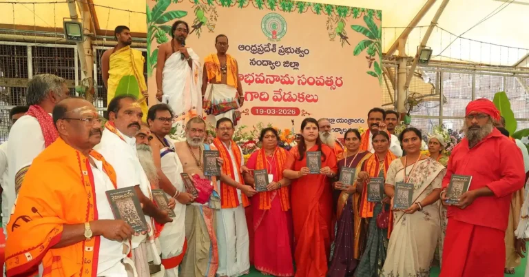 c869a729-5a13-4f31-8cac-3eec63c8a46d.jfif (1)