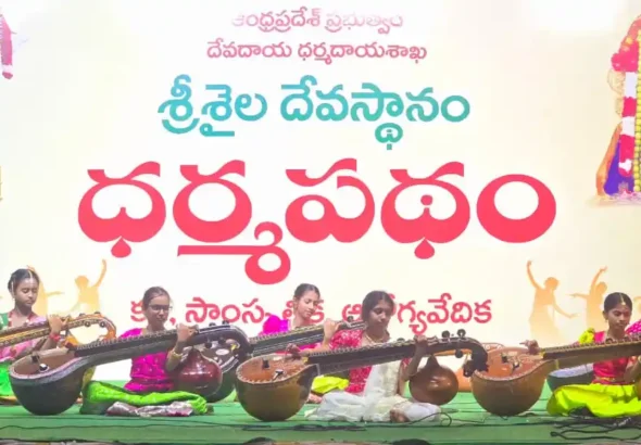 1cb4fd1e-c9a7-4cea-81fe-eea24d6ec893.jfif (1)