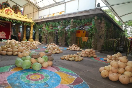 7233d6c4-67c5-4c54-a7ef-2c2931e49739.jfif (1)