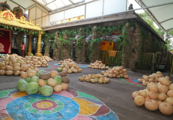 7233d6c4-67c5-4c54-a7ef-2c2931e49739.jfif (1)