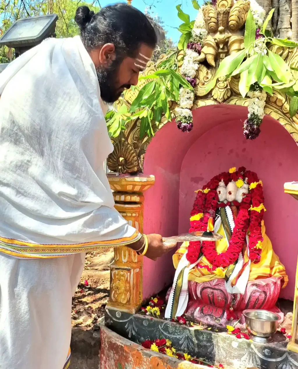 f4a5a5ed-eb79-4b94-89e4-03a0a7b92af3.jfif (2) (1)