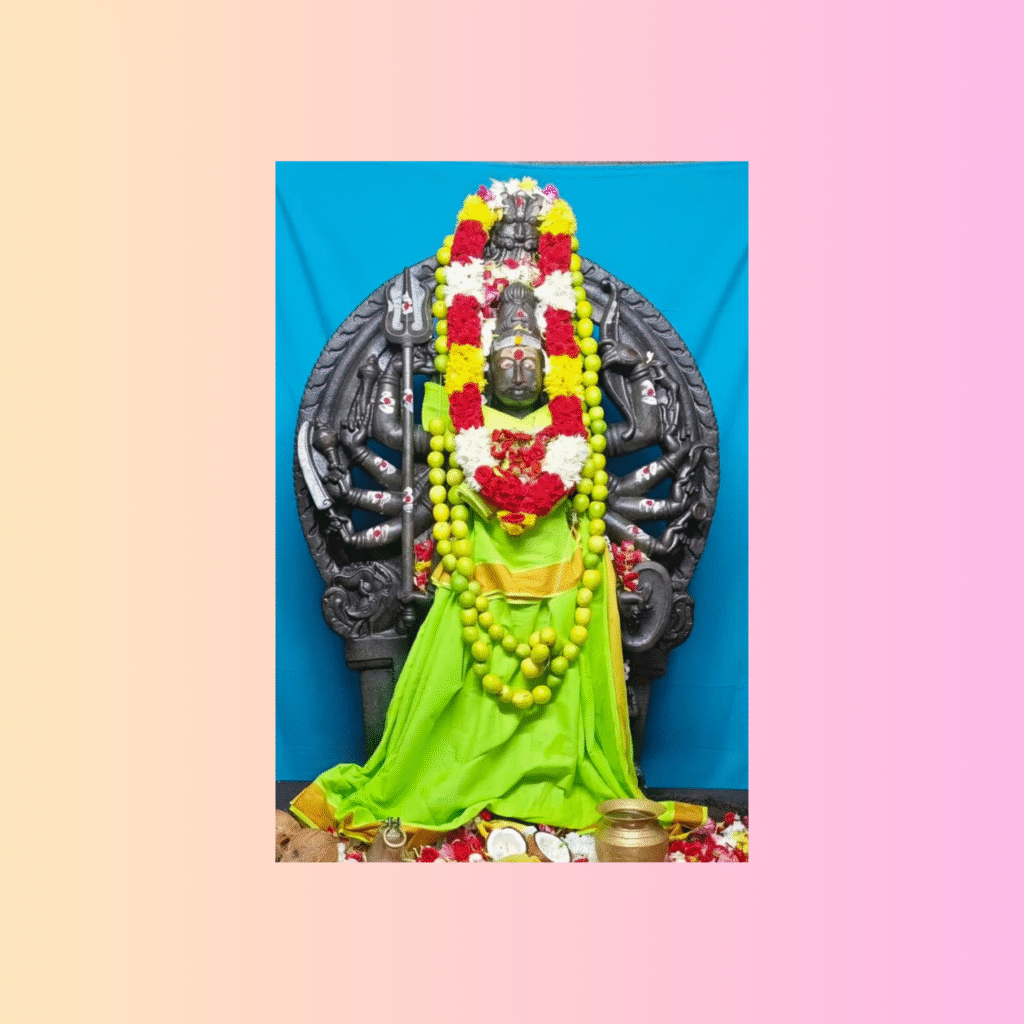 జ్వాలా వీరభద్రస్వామివారికి విశేష పూజలు